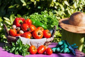 vegetables-basket-sunlight (1)
