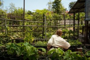 back-view-woman-checking-plants (1)