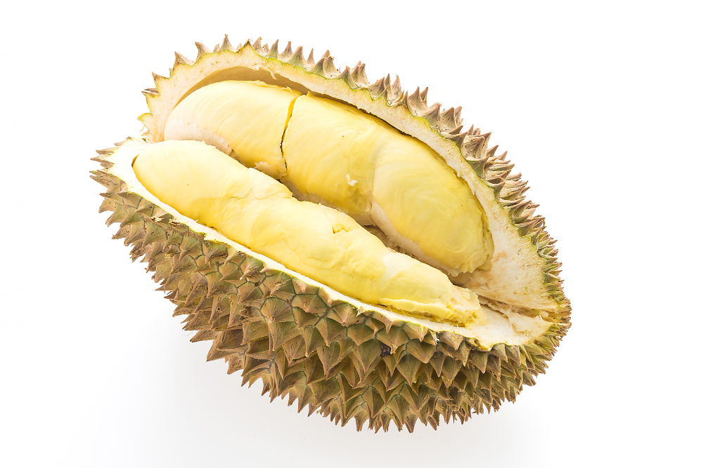 durian-fruit-isolated