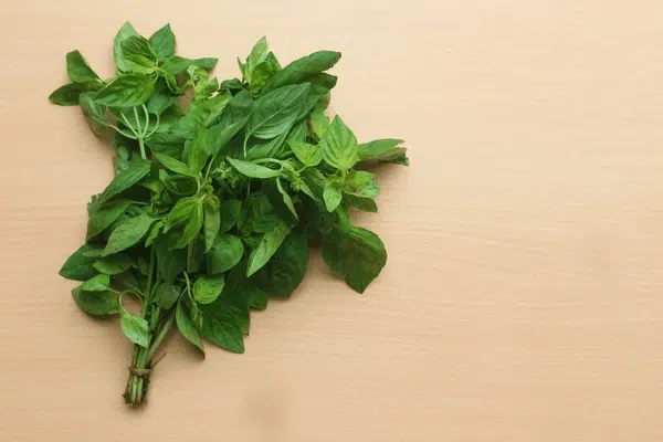 Kemangi - Sayur Lalapan