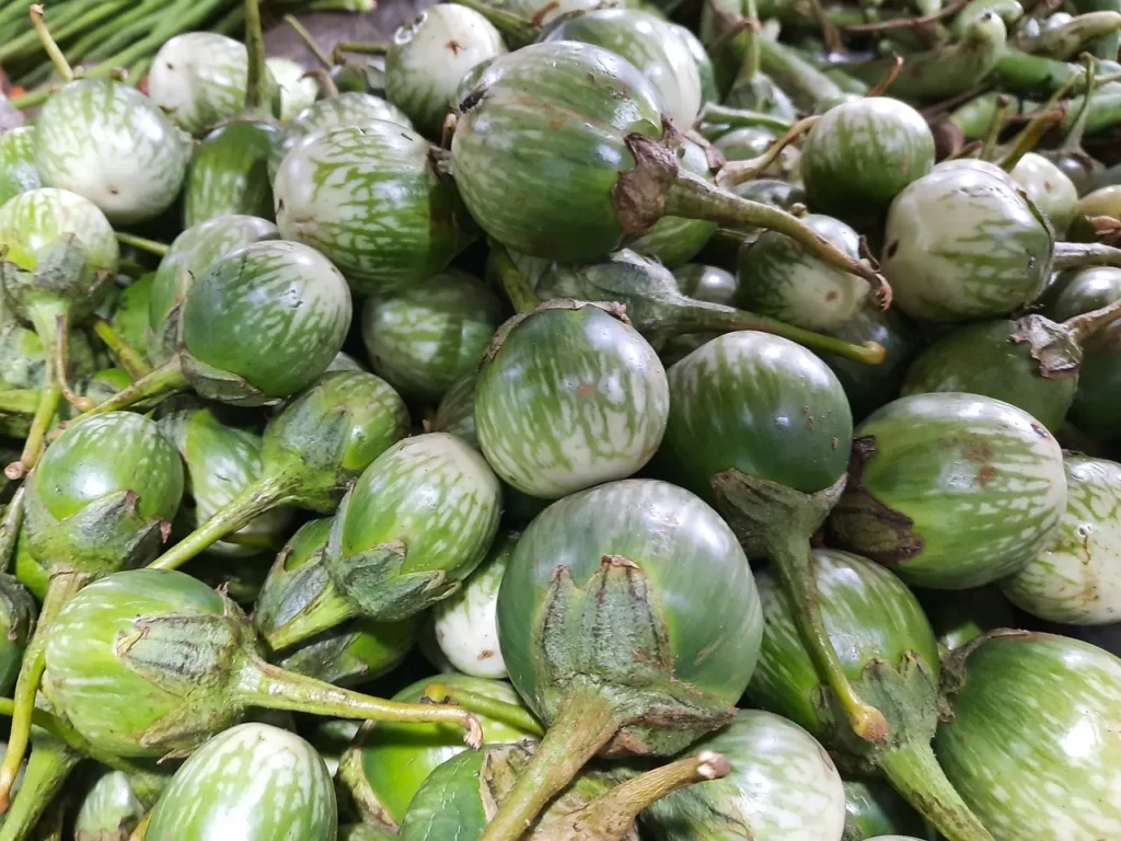 Terong - Sayur Lalapan